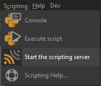 Start the scripting server from Patchwork 3D