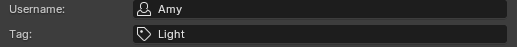 Username & tag fields