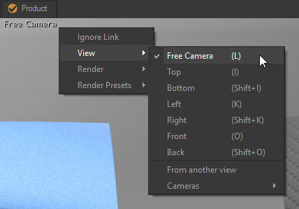 Identifying the Camera Used in a Viewport.