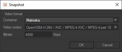 Access to video format settings.
